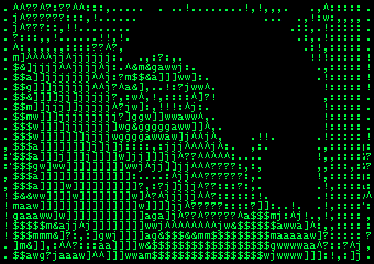 the who my generation ascii video